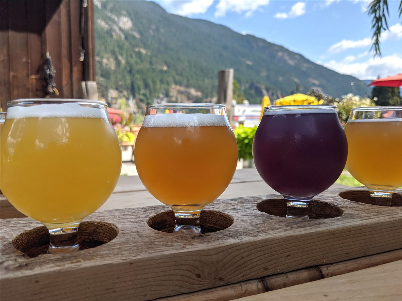 A colourful craft beer tasting flight